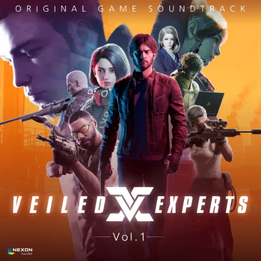 veiled experts